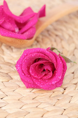 Rose-petals and rose with water drops close up