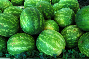 watermelons