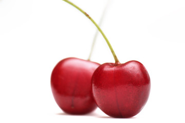 two red ripe mazzard cherries isolated on white
