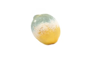 mouldy lemon