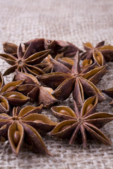 Star Anise Seeds
