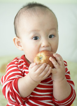 baby bite off   rapple.