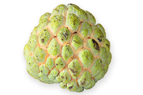 Pomme Cannelle Attier ombre