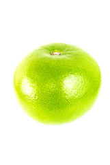 Green Grapefruit