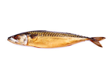The whole smoked mackerel isolated