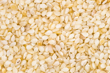 Sesame Seeds