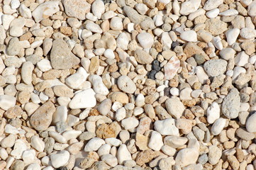 ciotoli