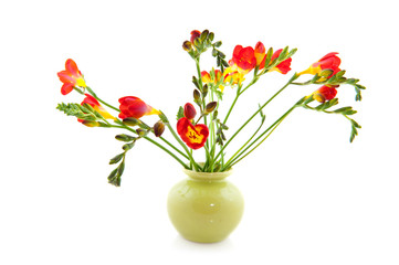 Red Freesias in vase