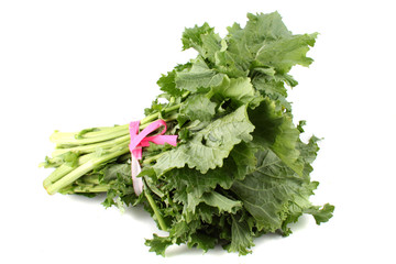 Green rapini