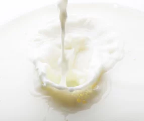 Papier Peint photo Milk-shake Splash of milk