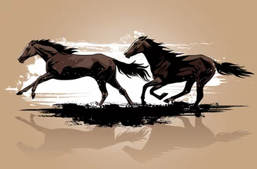 Gordijnen Vectorillustratie van wilde paarden running © Isaxar