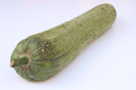 Luffa / 丝瓜
