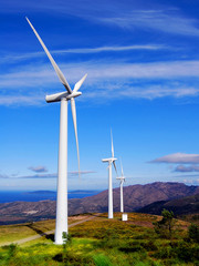 Wind Turbines on the Sea Coast. © BibiDesign