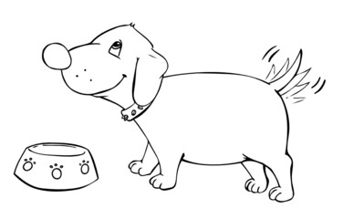Dackel, Hund, Dog, Würstchen, Wurst, Haustier