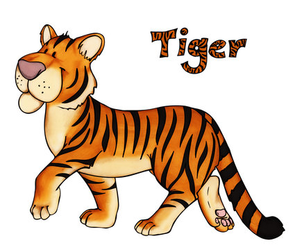 Tiger, Zoo, Raubkatze, Dschungel, Asien, Indien