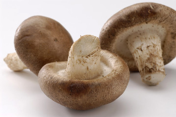 Shiitake mushrooms.