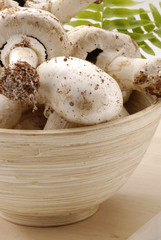 Mushrooms.