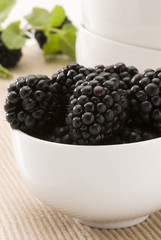 Mulberries in a bowl.
