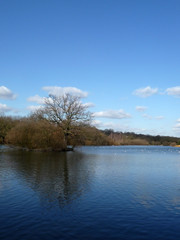 Hainault Forest Water