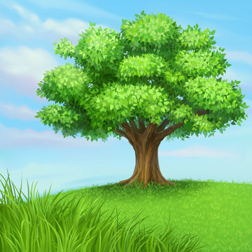 vector summer tree at green meadow
