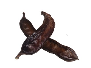 Bio
