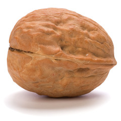 walnut
