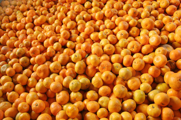 Large Group of reshness Oranges