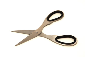 Kitchen scissors.