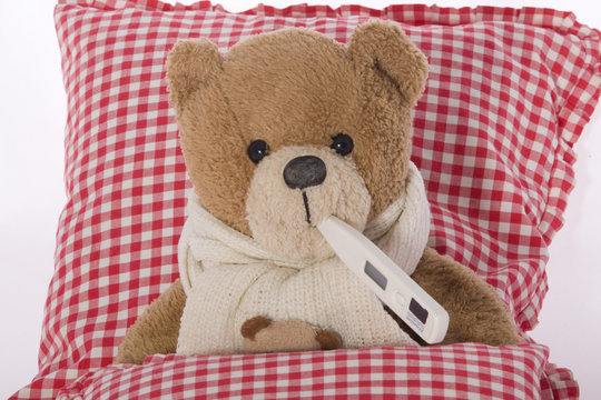 kranker Teddy