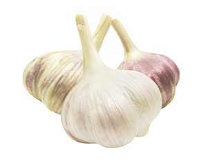 Obraz premium garlic