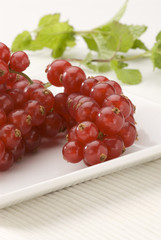 Redcurrants in a white plate.