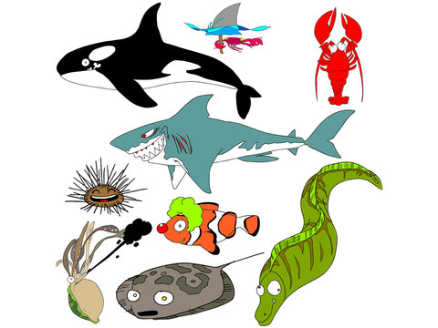 Sea Life II