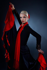 Beautiful flamenco dancer