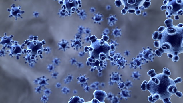 Virus Infection