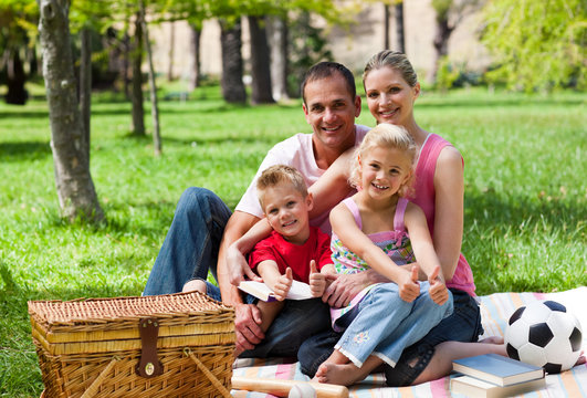 Family having a picnic smiling at the camera