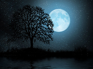 Fototapeta na wymiar Księżyc i drzewa