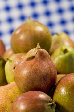 Group of pears