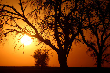 Coucher de soleil africain
