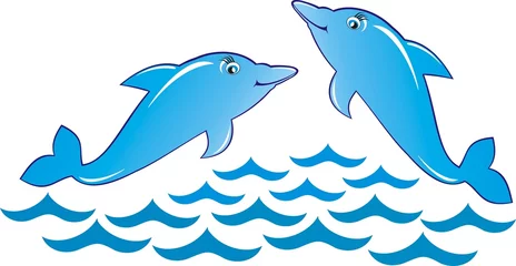 Foto op Plexiglas dolfijn, walvis, vis in de zee, illustratie © Alexandr Shebanov