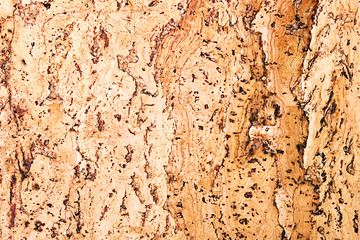 texture of the cork material