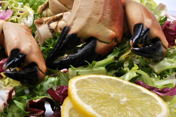 fresh organic crab claws with salad and lemon