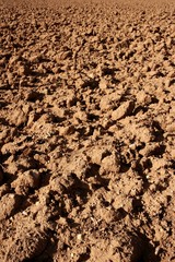 Clay red agriculture textured soil