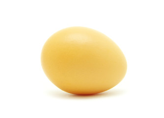 egg