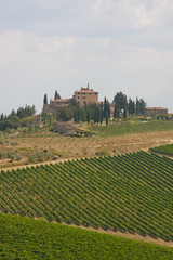 Fototapeta na wymiar Weinbau im Chianti