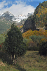 Paisaje de montaña en el pirineo