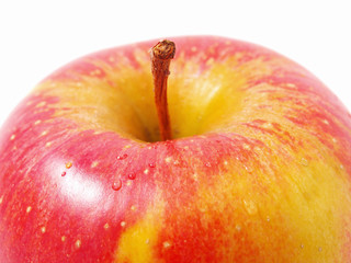 Ripe apple on a white background