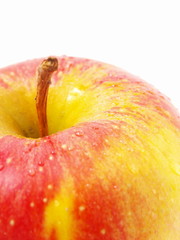 Ripe apple on a white background