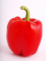 Red Bulgarian pepper on a white background