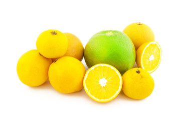 Group of citrus on a white background