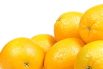 Oranges isolated on white background.